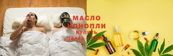 тгк Алзамай