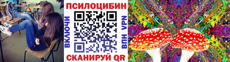 дарк нет Telegram  Узловая  Псилоцибиновые грибы Psilocybe  цены  